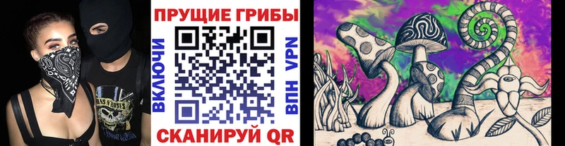Купить закладки  Верхний Уфалей  Галлюциногенные грибы GOLDEN TEACHER 